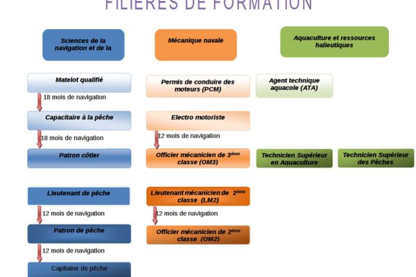 filieres1