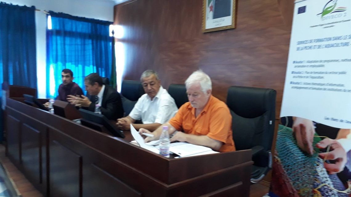 ورشة عمل لدراسة الدراسة بالمنوابة ورشة عمل لدراسة الدراسة بالمنوابة